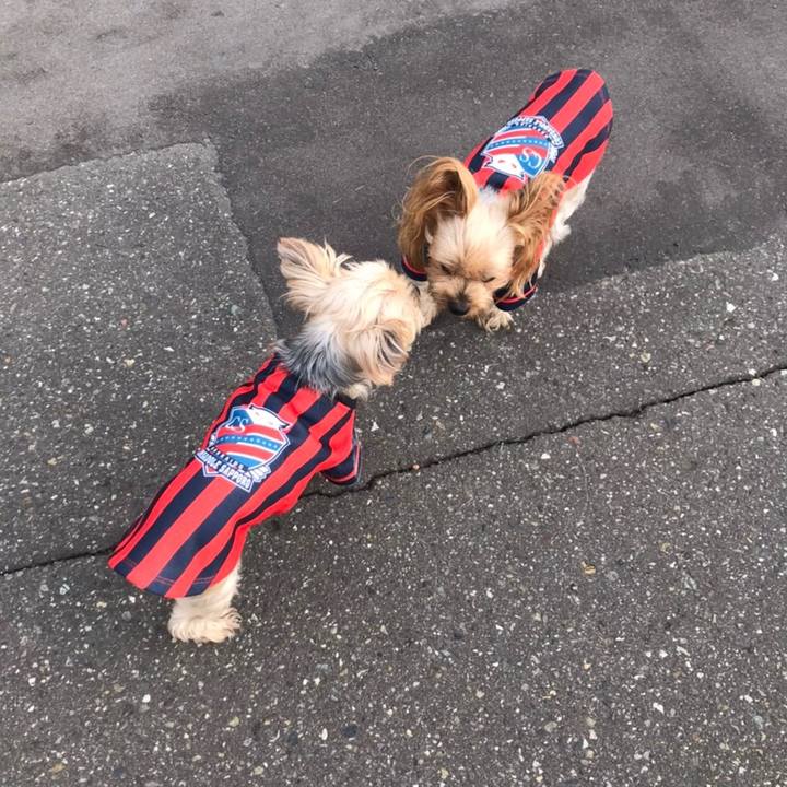 028b26a7 261f 4524 aa32 9028692b4999 1602584127534