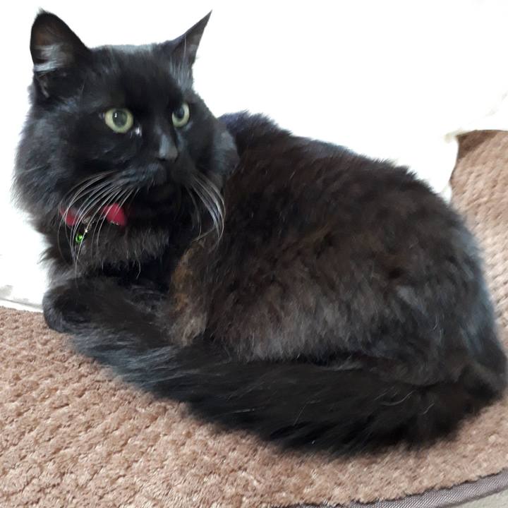 028b36e6 c3b7 49f9 8a2d fb3018fdeaef 1518462631557