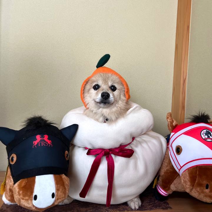 028b3bf3 06bd 4ce7 b93c f892d5727971 1767527406936