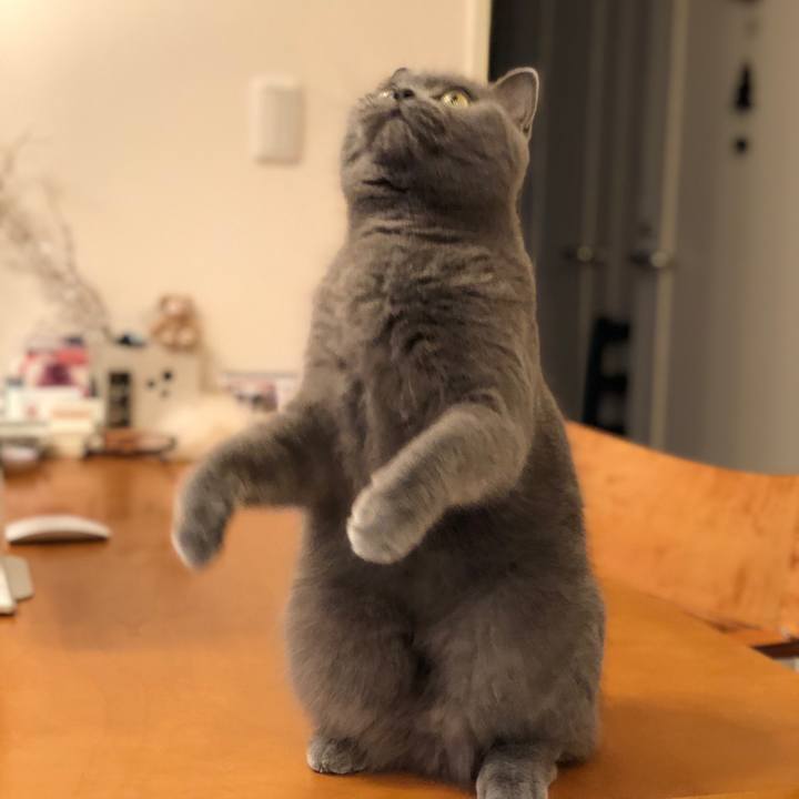 028b5c83 9b83 47b1 a91b fe3583c68d79 1517704568464