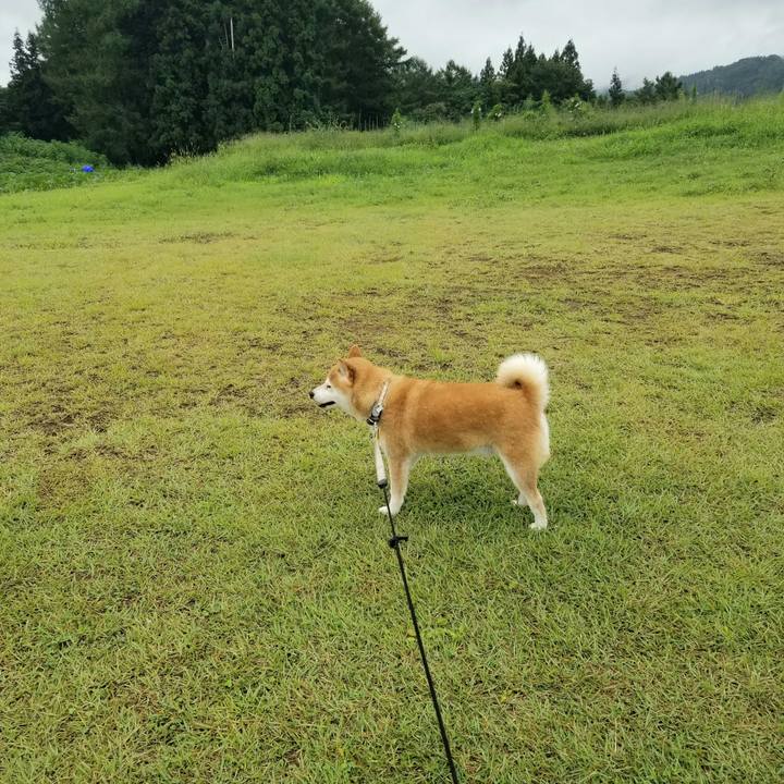 028b69f0 97e1 46e5 8838 91ab53f7483b 1629172336518