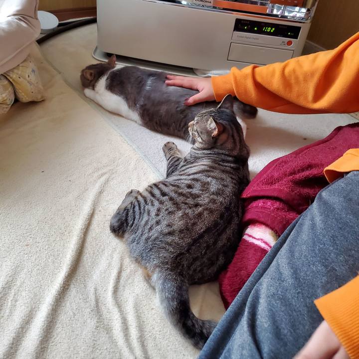 028b9325 e76c 4f93 8c8d 2ed3d801b767 1704636779588