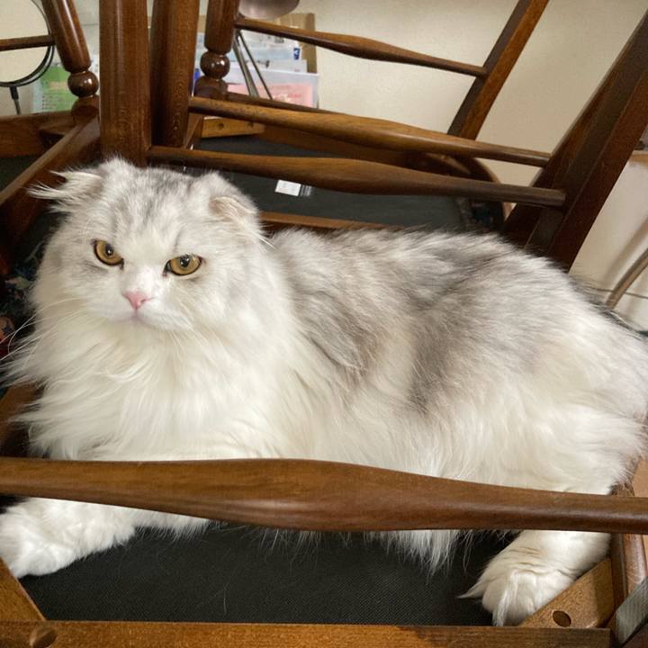 028c1eba e95c 43d1 a0d8 7140801e1e2d 1656336278659