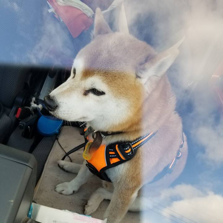 028c3194 6b8a 43fd 9dfa beea4abd8577 1605939152719