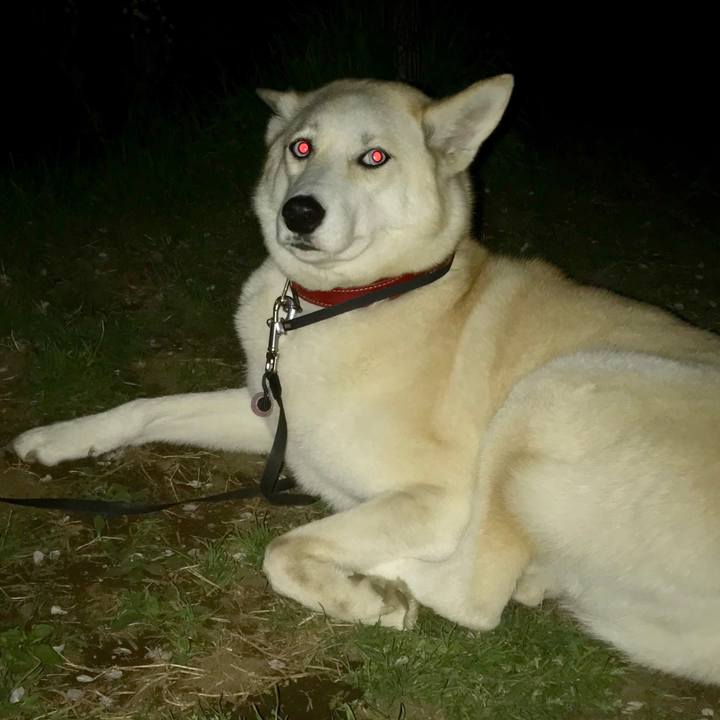 028c7894 c741 4e97 be60 16b27cbf724d 1522235751634