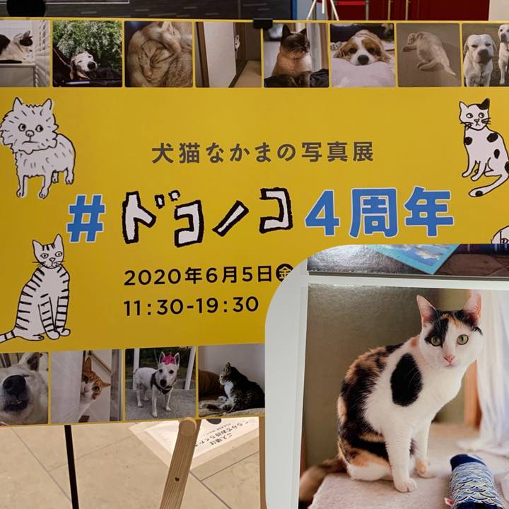 028cd2ba 4058 4fef 939c c90852d759c4 1591500815635