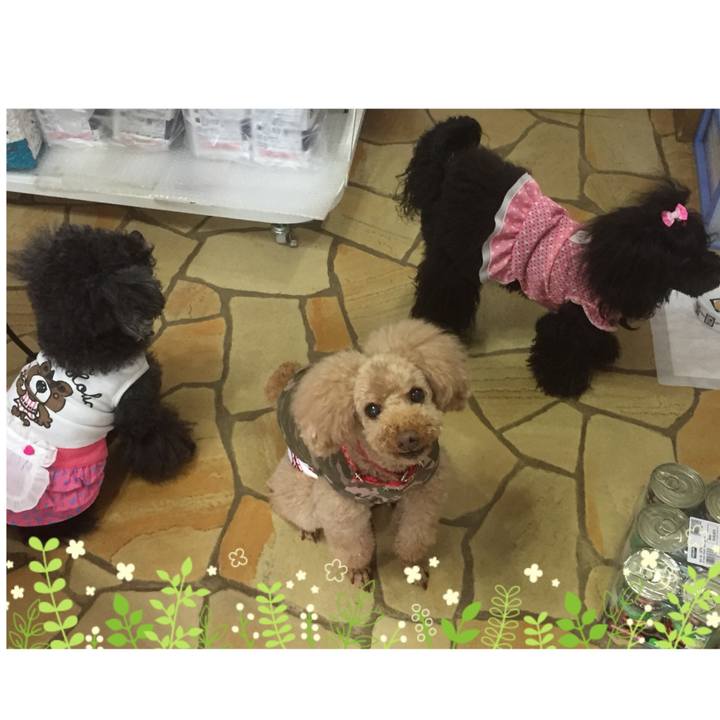 028cd48a f1d2 4291 acd0 fb138dc24ef4 1525681393778