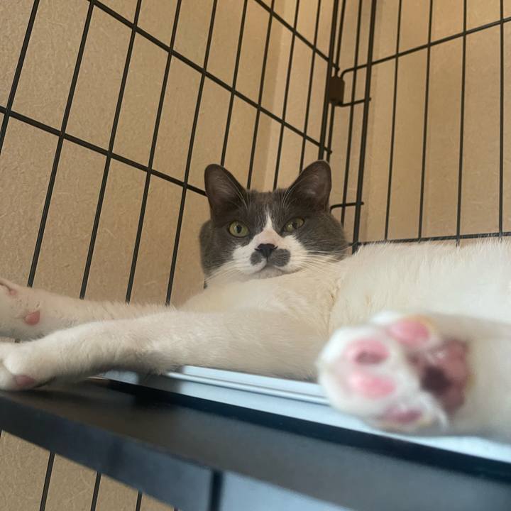 028cea46 9719 4629 87ce 6fd2af7263f5 1726616615080