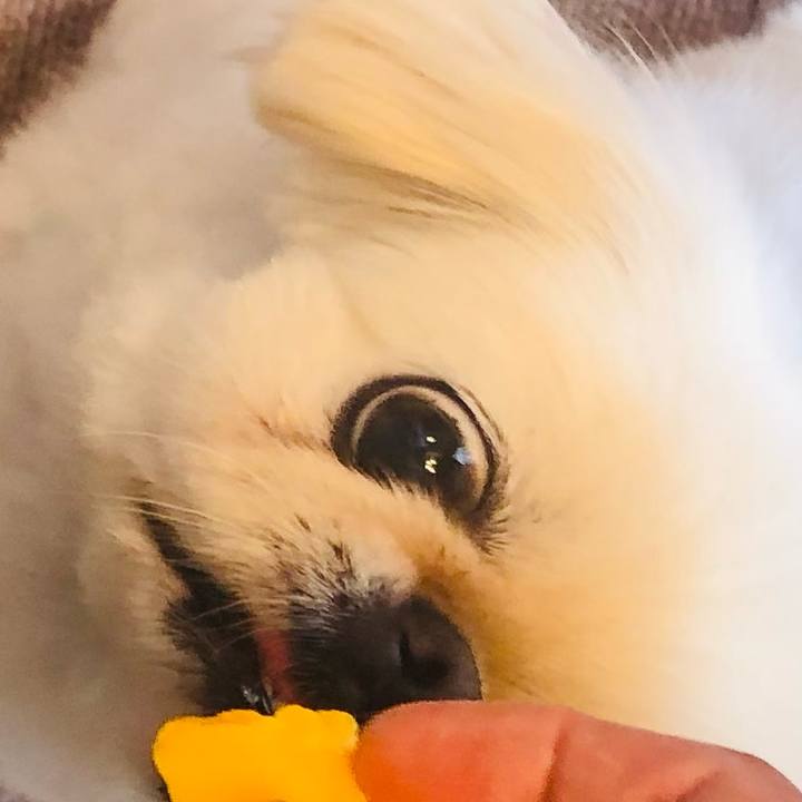 028cf4db 7033 4709 bf8b 38035b3149ce 1625981000620