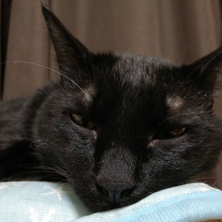 028cf9ed fc61 4796 bcb3 580caa16dd6f 1624052948377