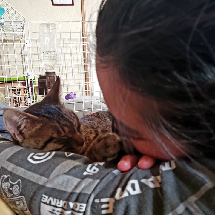 028d079e 1706 40d8 b1e3 86bf77bc338f 1543812544272