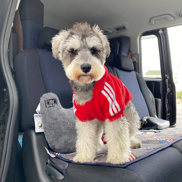 028d0a64 5341 47a0 b09f 75f36dacee03 1576389245246