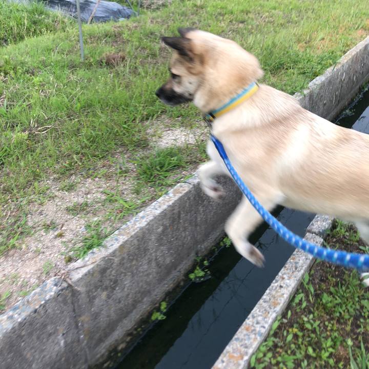 028d0d08 9fea 4803 a147 40d1938667a2 1561204705804