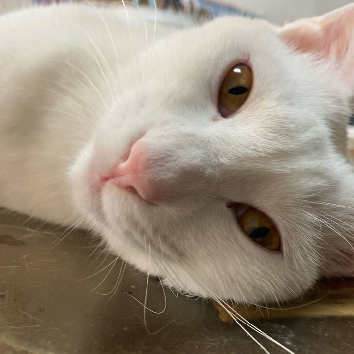 028d21d8 989d 464b 87f2 673515a8b761 1709335390660