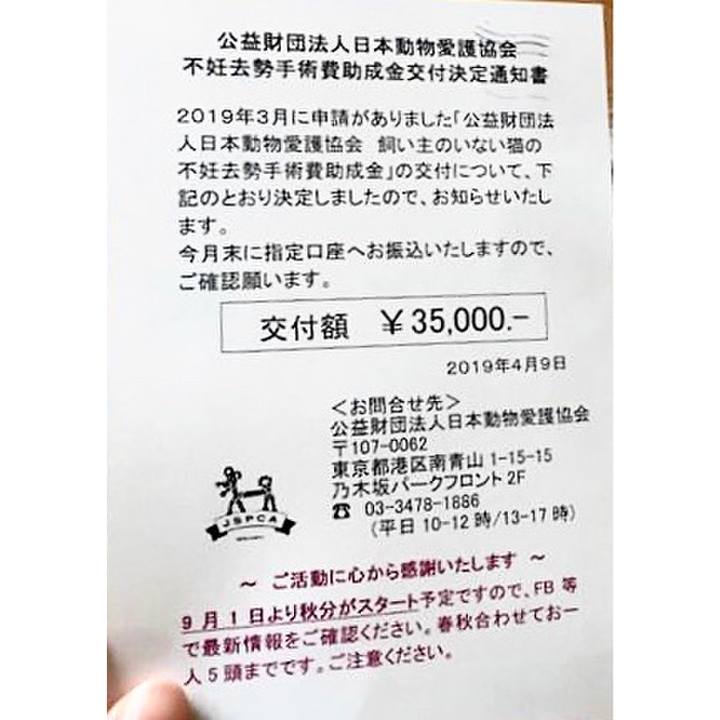 028d3349 bf1b 47f5 be8e fabdfd97a5ba 1554958172201