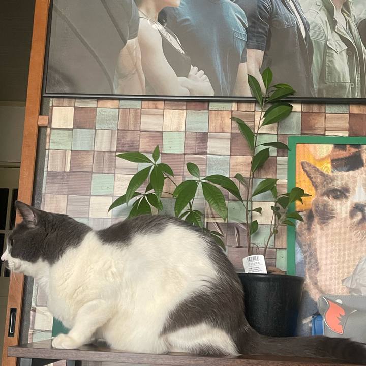 028d4924 541a 44f8 bafc c715cad26545 1738912581269