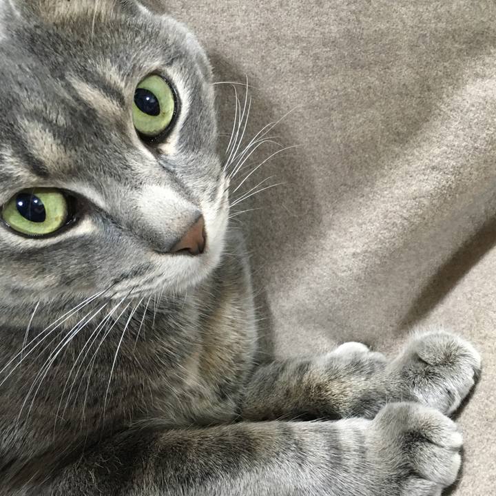 028d6392 eb21 4415 a697 6a7cbaf06bde 1590804660680