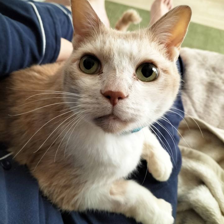 028d64ce d929 4efd b7dd df4a664ca736 1671232277555