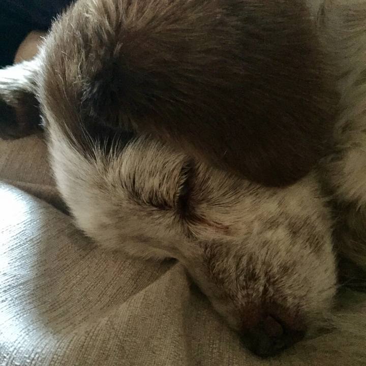 028d6d2f e562 4fac 9663 cd5bc75fd455 1513178464603