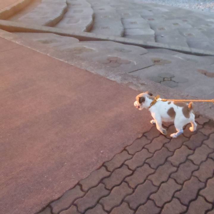 028d718e 203f 4366 8dc3 201f9e6a9a95 1547911741274