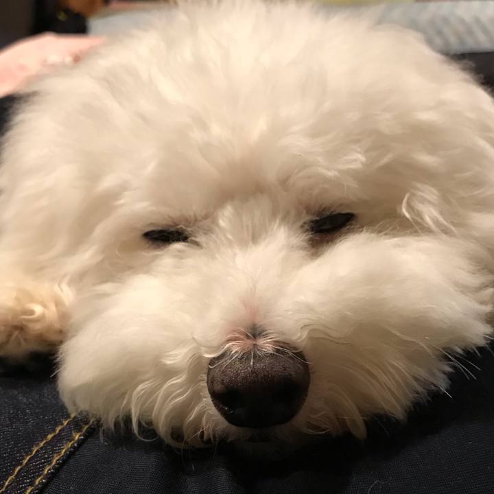 028d7352 361d 4f08 9035 29ceeed93503 1566122725395