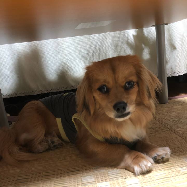 028dbc12 53a6 4dcb 950a 54636234f449 1522412033610