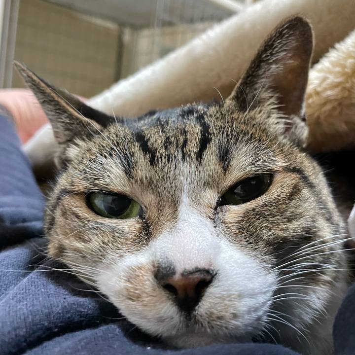 028dc48c a222 4e63 a0c4 06f2d63e89d5 1642211432433