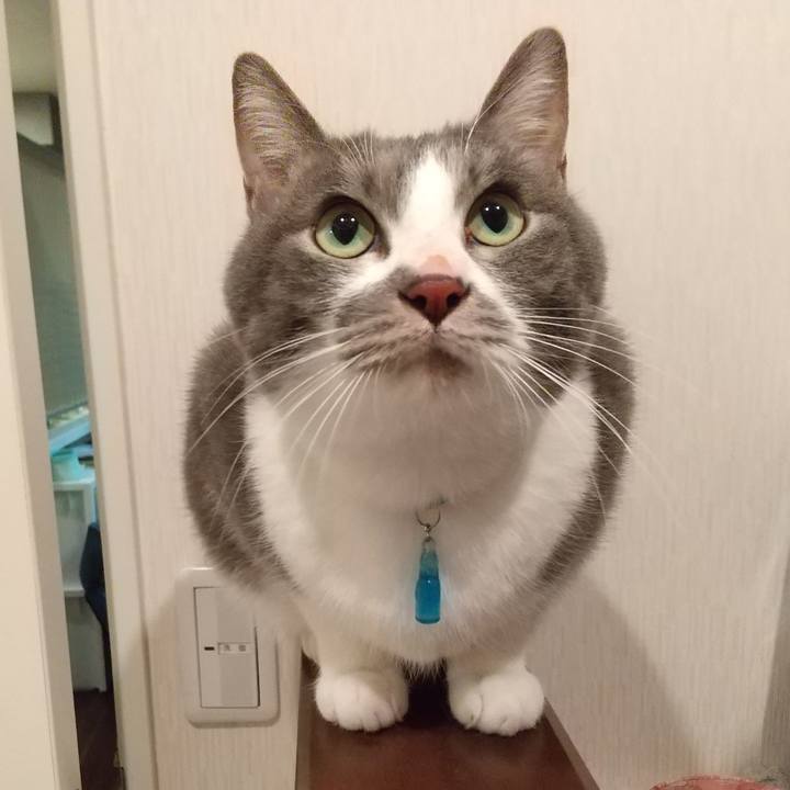 028dd592 7b46 44c5 9ccc 06362b0a1fd3 1644184193603