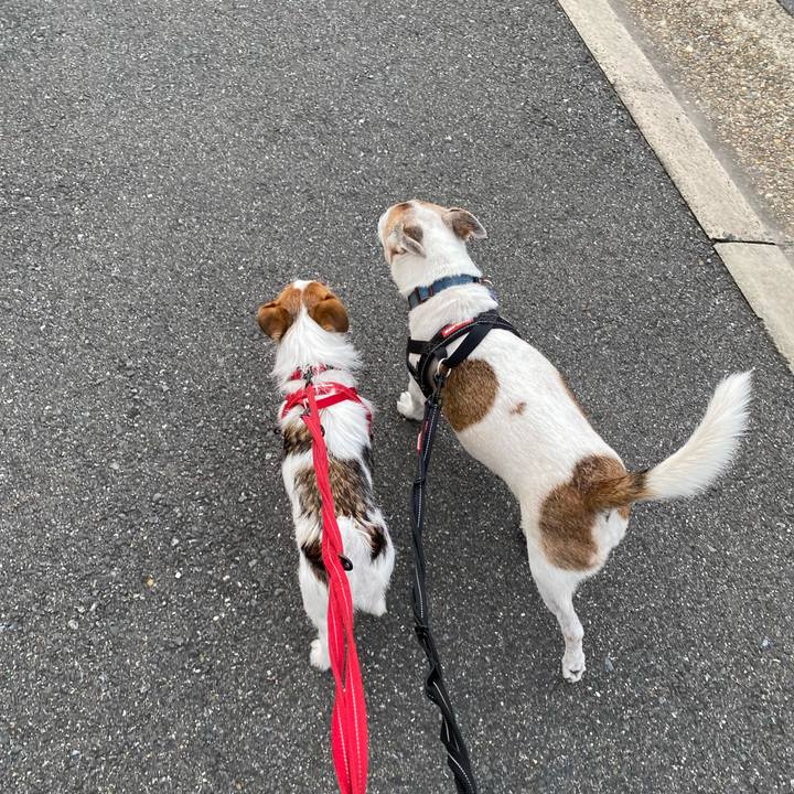 028dd850 4df2 484f 9ecb 7cabf5bc9021 1629840175354