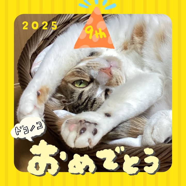 028ddcd5 983f 41f9 8d42 499d9d940b30 1749660106777