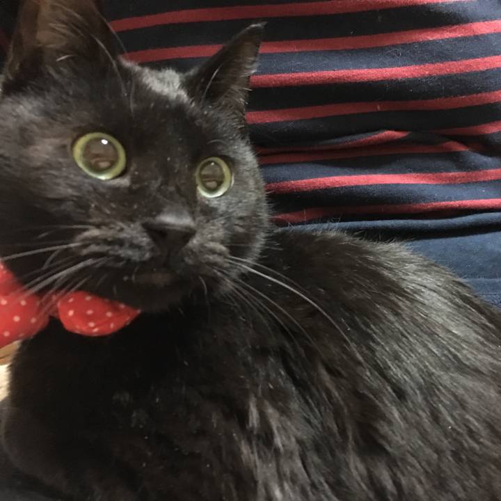 028de925 c9f3 468b bcbf 6337877d8969 1550249440009