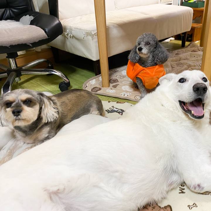 028df1a7 1c0f 4765 b4d5 00e340ccf06d 1643177734403