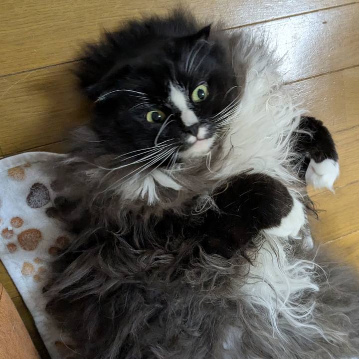 028dfd1b a3ae 4475 b140 1cf7532b22f8 1766833168339