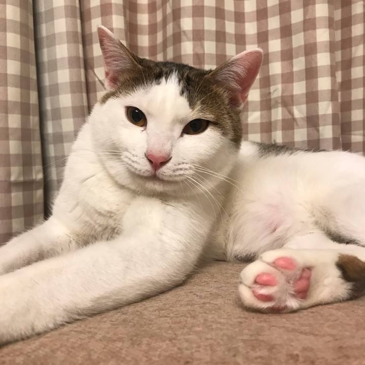 028e084f 23da 418f 8a30 2db6900b7376 1615379910990