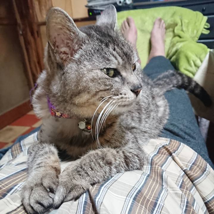 028e4ea5 5c99 460b 8f17 577c70819155 1588072295478