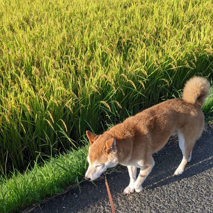 028e8cc3 c7e1 4faf a376 ff1dc56469db 1726562594670