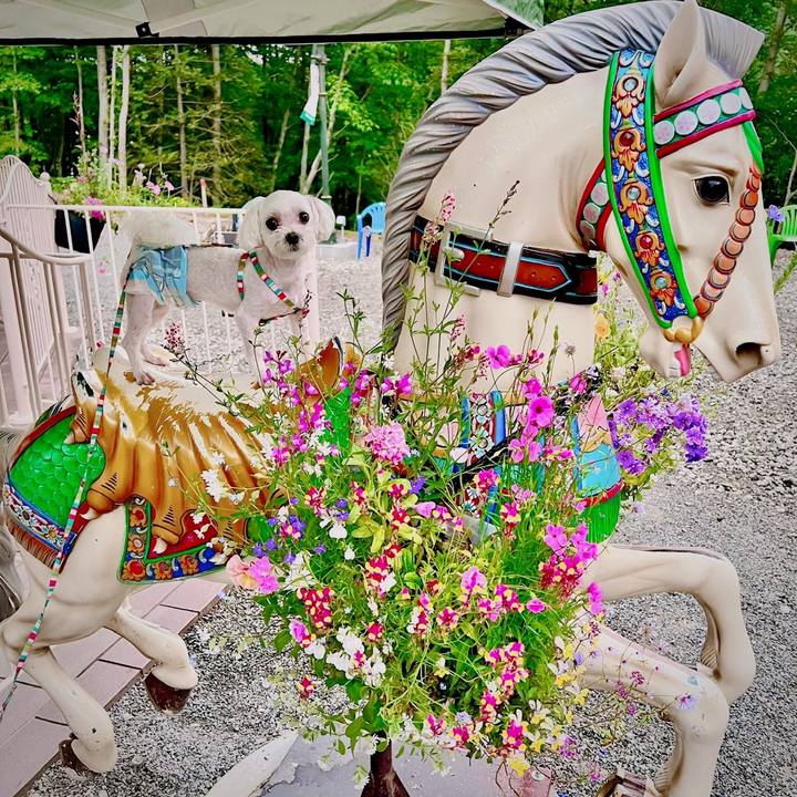 028e955e 241b 4f00 9482 1f80606bfbb7 1655623163952