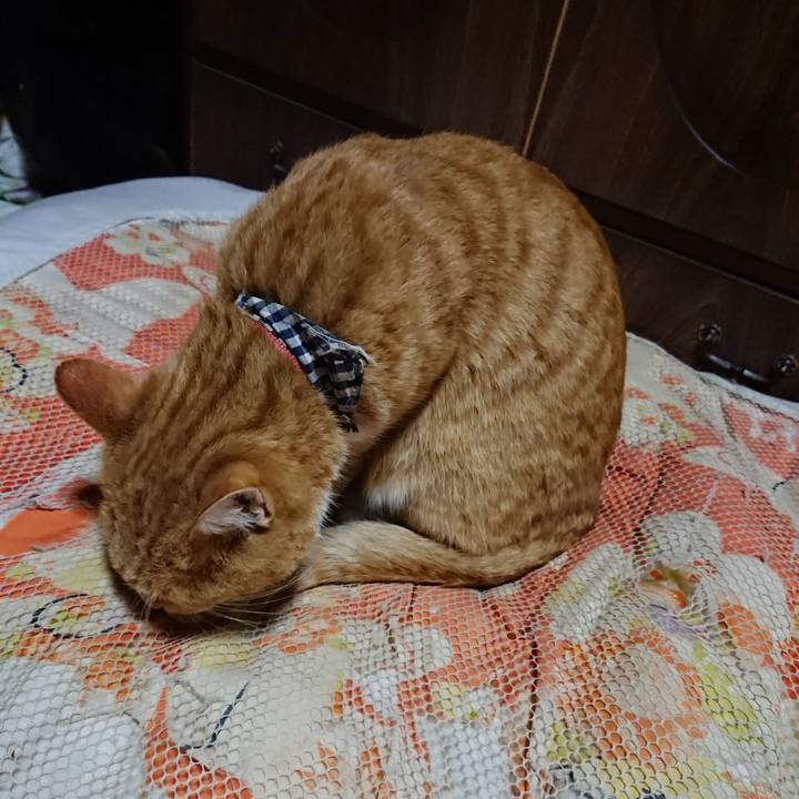 028e9c6d ad43 41e0 af93 b09213e76225 1573128992766