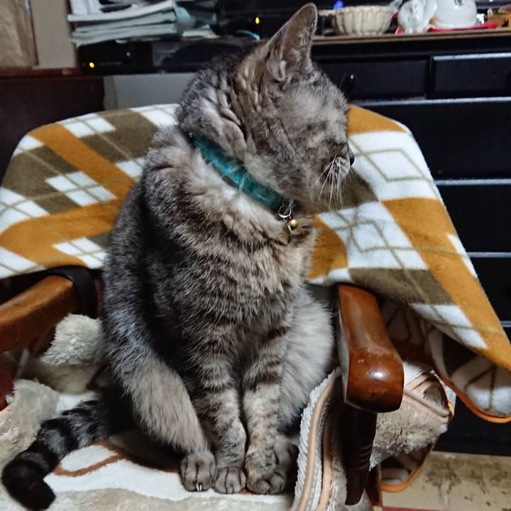 028e9ca5 5c72 49d1 b986 c65449a03486 1552642216667