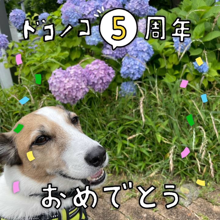 028e9e12 6347 43e8 b797 a2803c0221df 1622854890062