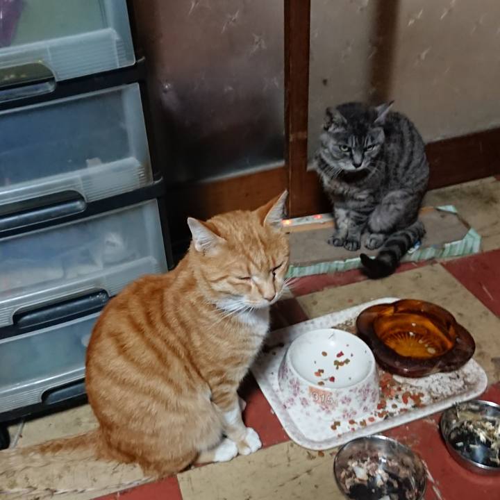 028ecee9 d893 49e4 857a 4bd2bd45fc43 1571729415993