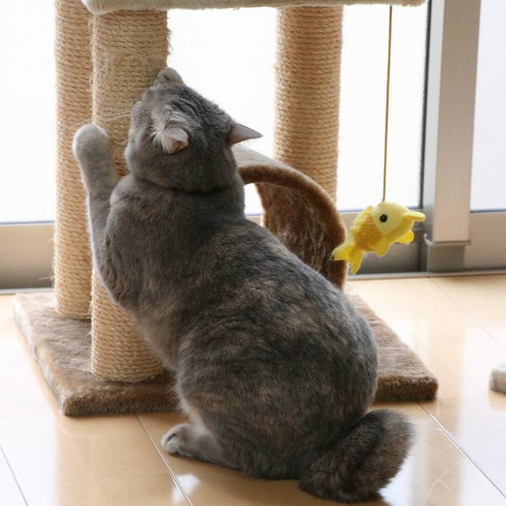 028efabe 79e7 4332 bd70 07fadd81af77 1536740338915