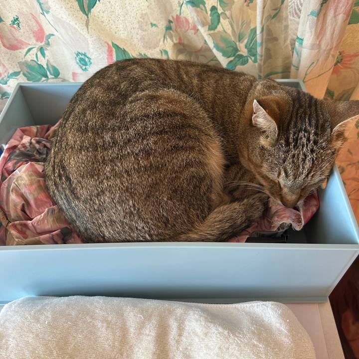 028f1504 11e6 4443 94fe 89cb16a3182f 1708235303459