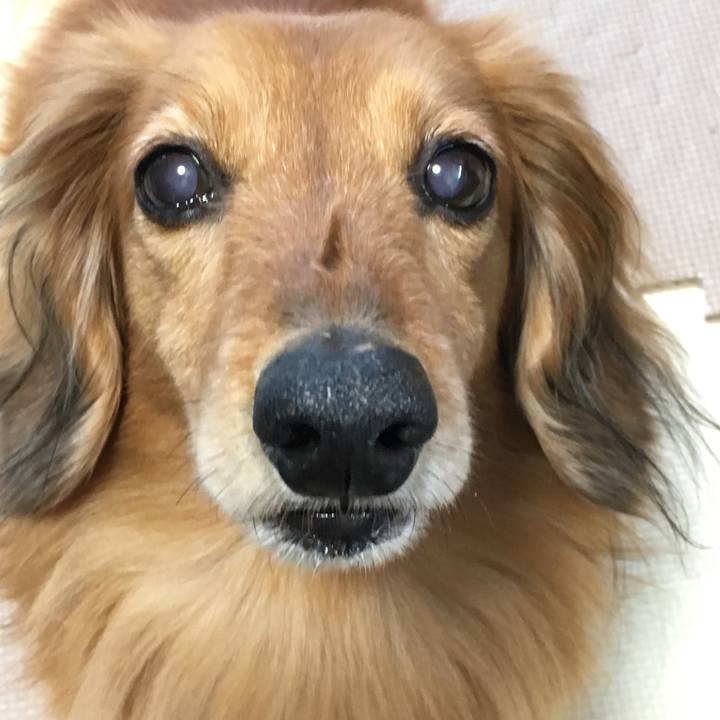 028f486f 88b8 47ed a2ca 7723efcbdfc4 1557499056929