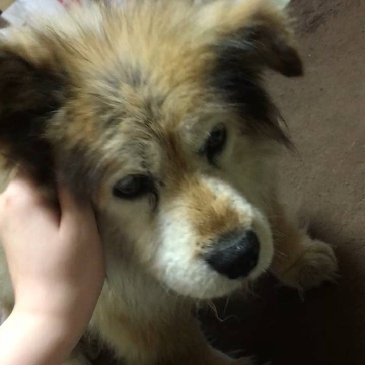 028f61e3 4fdd 43c5 b36c 493bebd93506 1604319364392