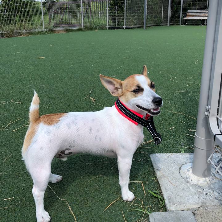 028f680c 6058 4432 92bc ecc8a0172073 1568949134848