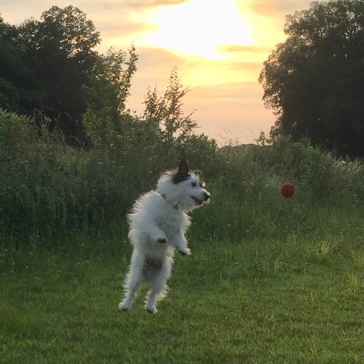 028f6ed9 76b1 4fd0 b5c4 c3a139e67105 1528064193325