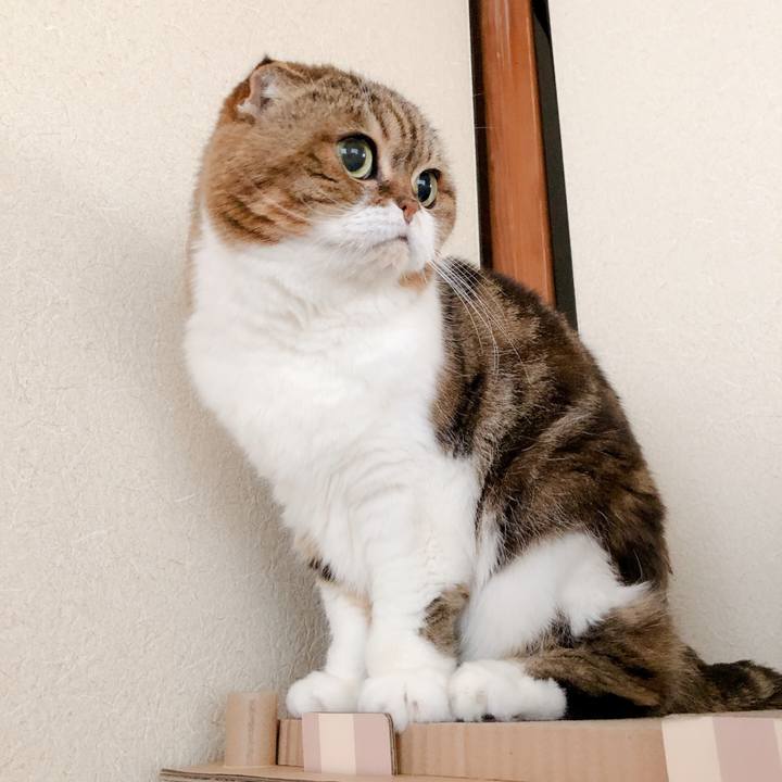 028f735d b837 41f7 991e e2df36e44f2e 1576036391033