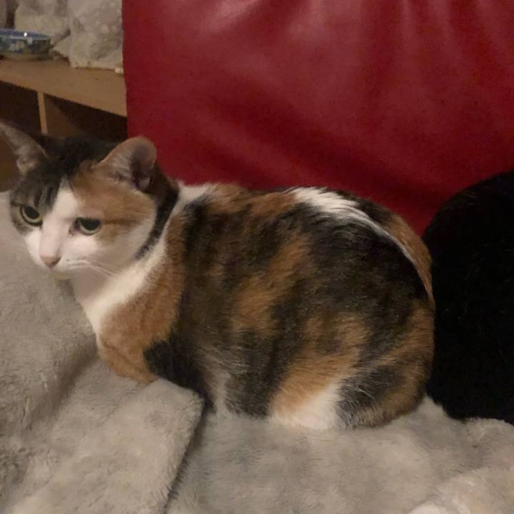 028fa7d3 cf53 45f5 bd22 22cbe24fc251 1609259856602