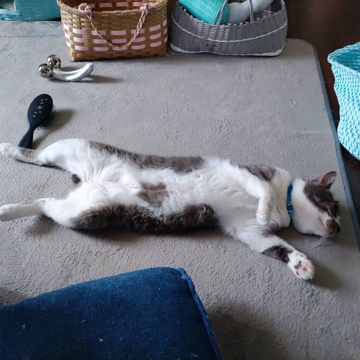 028fab46 8d76 447e af2f 224899b7d545 1662779153451